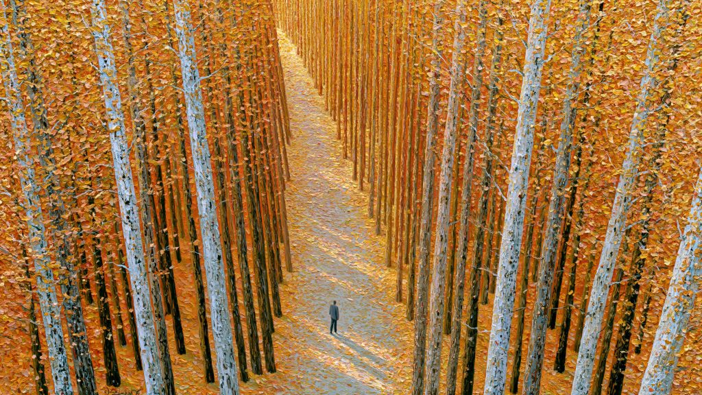 Aerial Autumn Forest